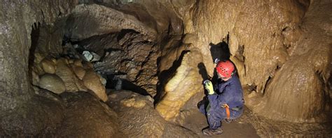 canmore cave tours promo code Book your tickets online for Canmore Cave Tours, Canmore: See 1,225 reviews, articles, and 448 photos of Canmore Cave Tours, ranked No